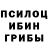 Галлюциногенные грибы прущие грибы TheMagnificent One