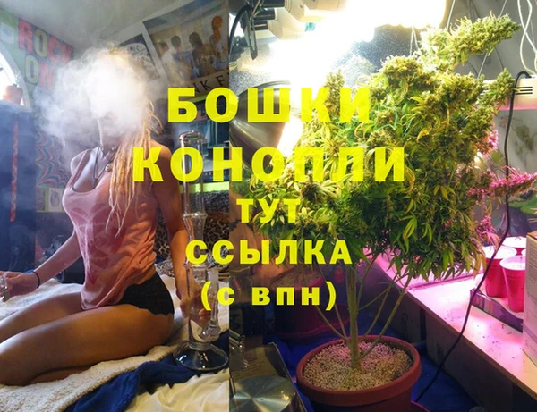 каннабис Богданович