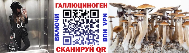 Галлюциногенные грибы прущие грибы  Черноголовка 