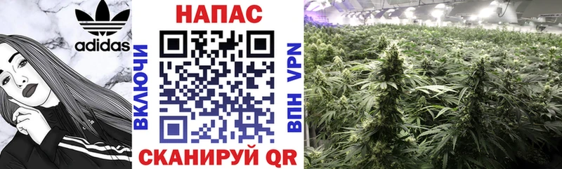 МАРИХУАНА Ganja  Черноголовка 
